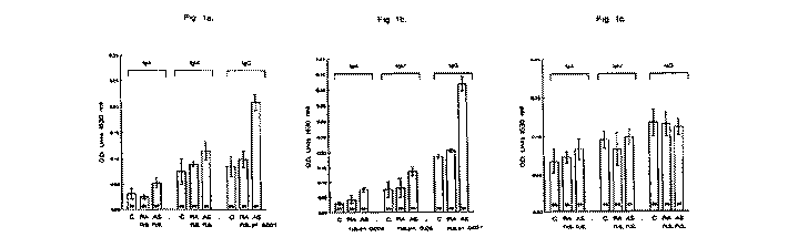 antibody litres